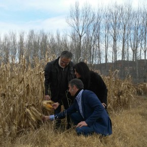 Ciudadanos apoya la igualdad de estratos de secano en todo Aragón