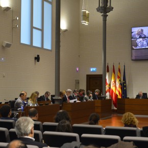El Pleno de la DPZ insta al Gobierno de Aragón a petición de C’s para crear un registro de maltratadores de animales El Pleno de la DPZ insta al Gobierno de Aragón a petición de C’s para crear un registro de maltratadores de animales