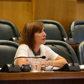 Sara Fernández: “Las modificaciones presupuestarias demuestran la parálisis inversora del Ayuntamiento”