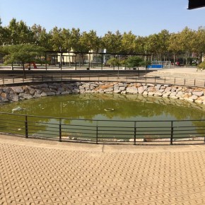C’s Utebo reclama al ayuntamiento que adopte medidas para limpiar el estanque del parque Europa C’s Utebo reclama al ayuntamiento que adopte medidas para limpiar el estanque del parque Europa