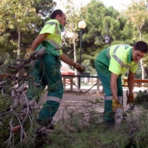 Ciudadanos pide a Cubero todos los informes sobre el intento de remunicipalización de Parques y Jardines