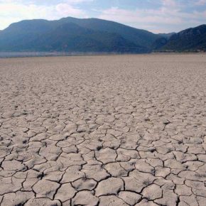 Cs insta al Gobierno de España a que apruebe ayudas urgentes para paliar los daños que está provocando la sequía y las tormentas este verano en Teruel Cs insta al Gobierno de España a que apruebe ayudas urgentes para paliar los daños que está provocando la sequía y las tormentas este verano en Teruel
