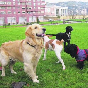 Barbastro aprueba elaborar una ordenanza municipal sobre la protección, control y la tenencia responsable de animales de compañía Barbastro aprueba elaborar una ordenanza municipal sobre la protección, control y la tenencia responsable de animales de compañía