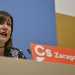 Sara Fernández: “El nuevo Centro de Protección Animal nacerá saturado”