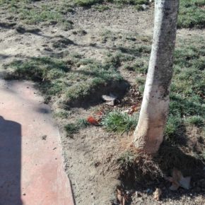 Ciudadanos (Cs) Utebo denuncia el estado “lamentable de la zona de esparcimiento para perros del barrio de Malpica Ciudadanos (Cs) Utebo denuncia el estado “lamentable de la zona de esparcimiento para perros del barrio de Malpica