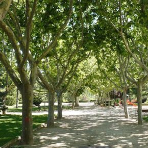 Ciudadanos lamenta que no se haya tenido en cuenta su propuesta de farolas solares para la iluminación del Parque de Los Fueros