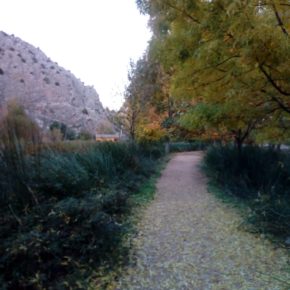 El Ayuntamiento de Jaraba instalará el alumbrado en el paseo a la Ermita con una inversión de 44.000 euros El Ayuntamiento de Jaraba instalará el alumbrado en el paseo a la Ermita con una inversión de 44.000 euros