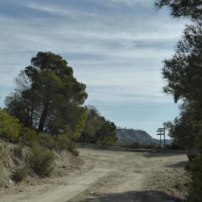 El Ayuntamiento de Farlete promoverá una nueva ruta BTT que unirá la Sierra de Alcubierre con la estepa de sabinas de los Monegros El Ayuntamiento de Farlete promoverá una nueva ruta BTT que unirá la Sierra de Alcubierre con la estepa de sabinas de los Monegros