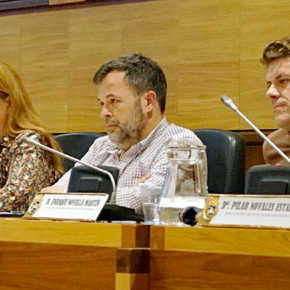 Ciudadanos Huesca insiste en las ventajas de aplicar el Sistema Dinámico de Adquisición para los contratos Ciudadanos Huesca insiste en las ventajas de aplicar el Sistema Dinámico de Adquisición para los contratos