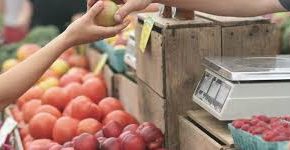 La Concejalía de Empresas, Autónomos, Comercio y Empleo recuerda a los turolenses que las tiendas de alimentación de los barrios permanecerán abiertas durante todo el confinamiento La Concejalía de Empresas, Autónomos, Comercio y Empleo recuerda a los turolenses que las tiendas de alimentación de los barrios permanecerán abiertas durante todo el confinamiento