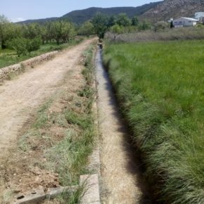 El Ayuntamiento de Jaraba acomete la pavimentación de la calle de En Medio y limpia la acequia para facilitar la llegada de agua a los regantes El Ayuntamiento de Jaraba acomete la pavimentación de la calle de En Medio y limpia la acequia para facilitar la llegada de agua a los regantes
