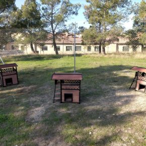 Cs La Puebla de Alfindén promueve el desarrollo del proyecto CES con la instalación de dos zonas cercadas para gatos Cs La Puebla de Alfindén promueve el desarrollo del proyecto CES con la instalación de dos zonas cercadas para gatos