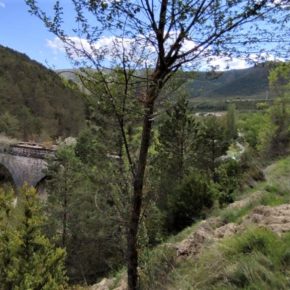 Ciudadanos plantea que el consistorio retome el proyecto para revalorizar las pozas de Castiello de Jaca Ciudadanos plantea que el consistorio retome el proyecto para revalorizar las pozas de Castiello de Jaca