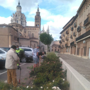 Cáritas Diocesana de Tarazona imparte un curso de instalación y mantenimiento de jardinería y zonas verdes