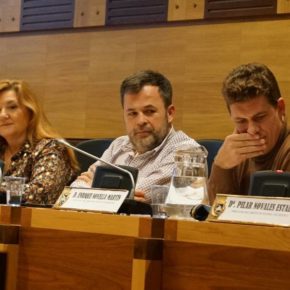 Cs Huesca insta al Ayuntamiento a promover los parques infantiles con cubierta en la ciudad